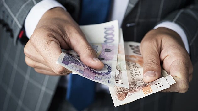 Polovinu Čechů znepokojuje jejich finanční situace, tvrdí průzkum. Odkládají útraty