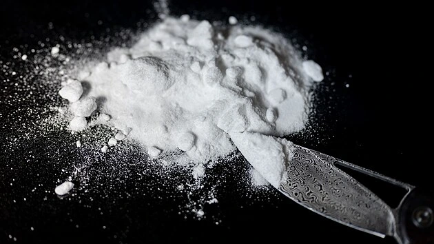 Místo klimatizace kokain. Policie ve Francii objevila 165 kilogramů drogy v kamionu