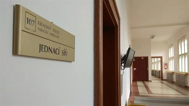 Kriminálník dostal dalších 10 let. Podle soudu družku ubil pěstmi a zneužil dítě