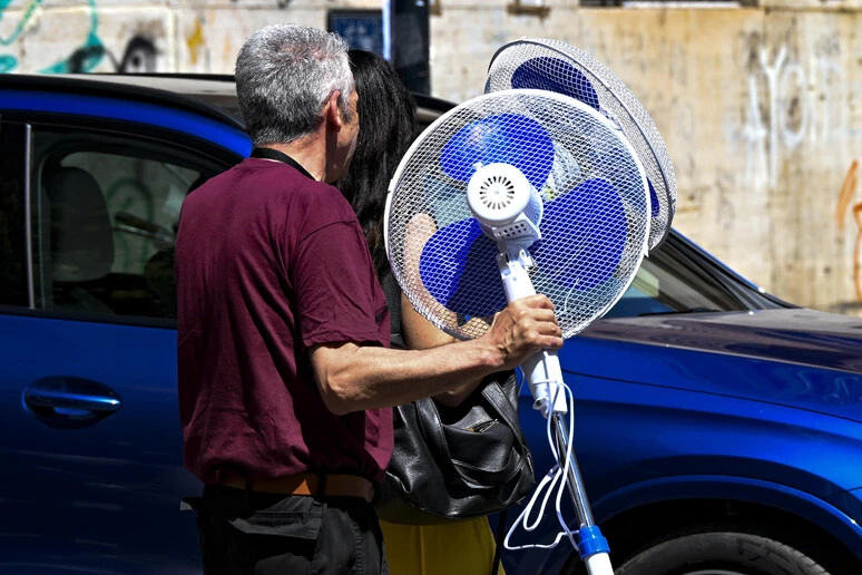 Folla e tafferugli in Francia per lo sconto di Lidl su 200.000 ventilatori e condizionatori