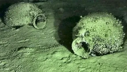 Vor Italien: Griechischer Wein aus der Antike in Schiffswrack im Meer entdeckt
