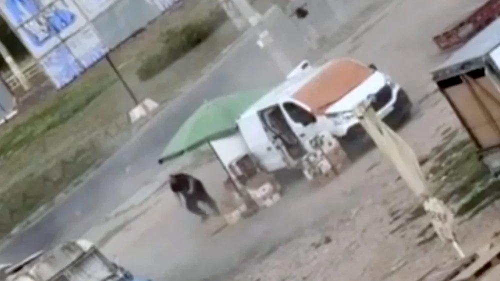 Video dokumentiert Jagd russischer Drohne auf Zivilisten in Cherson