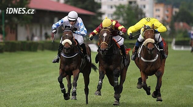 Dostihy Karlovy Vary dnes (2. 8.) živě: Program, výsledky, vstupenky
