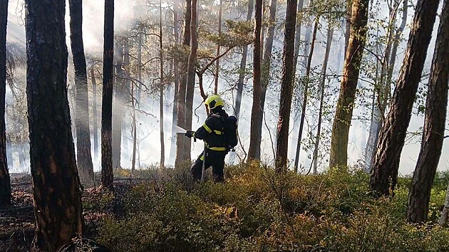Na Benešovsku hoří les a pole. Oheň zasáhl i chatky, hasiči snížili stupeň poplachu