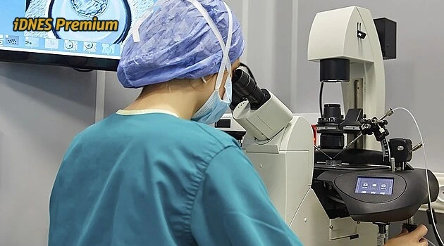 Cena za naději: Kolik v Česku stojí asistovaná reprodukce IVF
