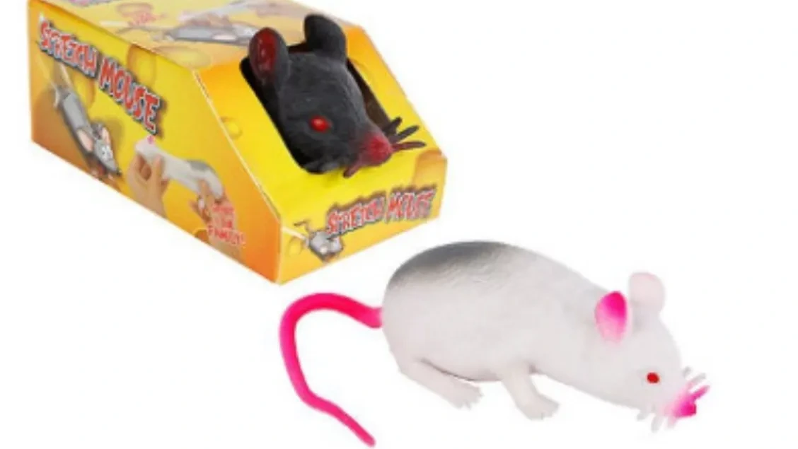 Rückruf bei Woolworth: Asbestverdacht in Kinderspielzeug