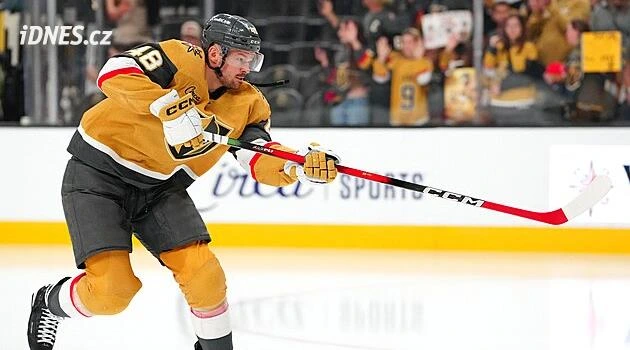 Vejmelka v přípravě NHL vychytal čisté konto, Hertl se trefil za Vegas