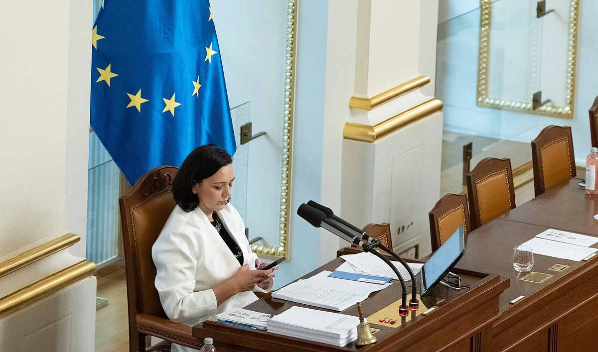 Dlužníkovi na výživném zabavujme i zbrojní průkaz, navrhuje poslanec