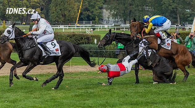 Kolik koní skončí na Taxisu? U Velké pardubické se sází i na věk či čas vítěze