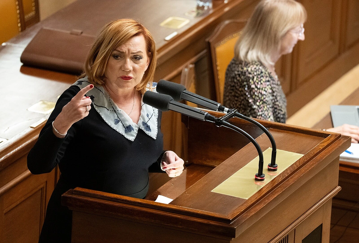 Poslanci budou jednat o návrhu státního rozpočtu, začali ale interpelacemi