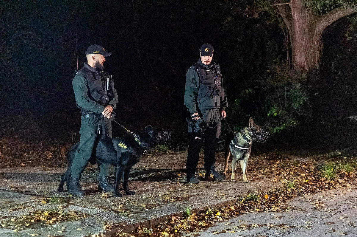 Slováci našli v ohořelém autě tělo bez hlavy, ležela opodál. Stopa vede do Česka