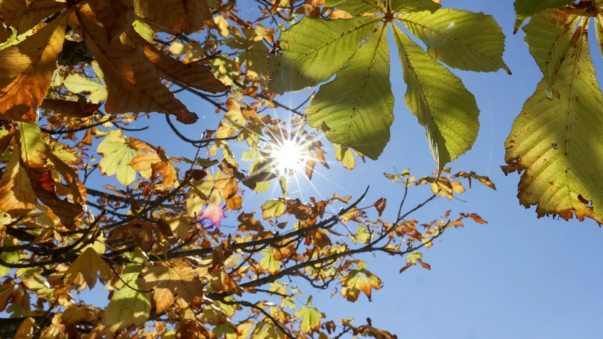 Das Wetter strahlt zum Tag Deutschen Einheit: Die Aussichten für Wochenende