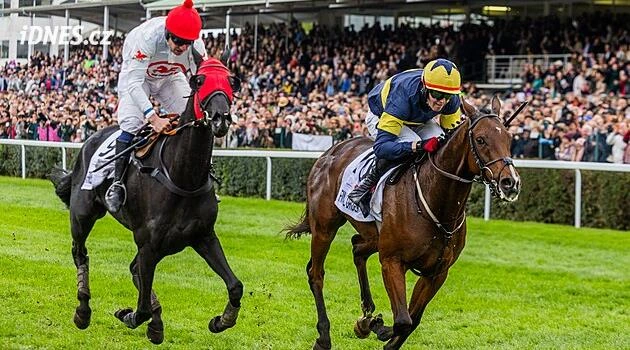 Godfrey, ty syčáku! Trenér Török uznal: I letos vyhrál Pardubickou lepší kůň